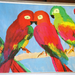 Parrots