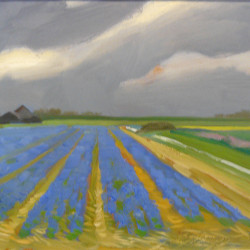 Blauwe druifjes