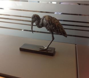 Ibis